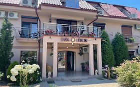 Ametist Casa Leului